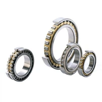 Rodamiento de rodillos cilíndricos para NTN